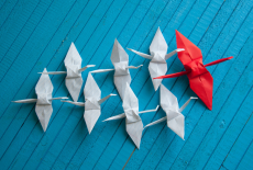 stado ptaków origami, na czele jeden większy czerwony, za nim grupa białych