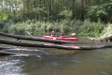 Dwójka słuchaczy płynie w kajaku po rzece Rawce. Na pierwszym planie w rzece leżą konary drzew.
