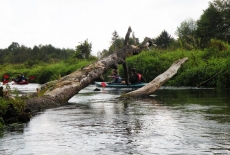Słuchacze płyną rzeką w kajakach.