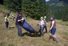 Suchacze KSAP zbierają skoszoną trawę