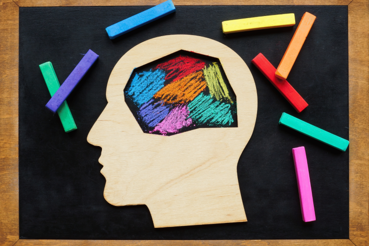 Na zdjęciu przedstawiona jest ludzka głowa z wypełnionym kolorami mózgiem.