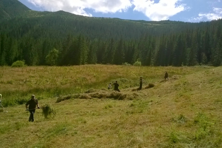 Słuchacze KSAP grabią łąkę w Tatrach